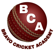 Bravo Cricket Academy Cricket institute in Mira-Bhayandar