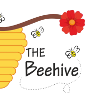 The Beehive Summer Camp institute in Gurgaon