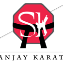 Photo of Sanjay Karate School