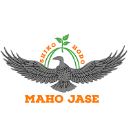 Maho Jase Institute of Technology RPA institute in Chennai