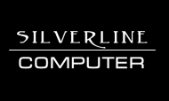 Silverline Computer Institute Tally Software institute in Lucknow