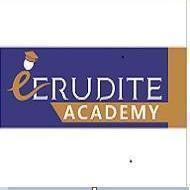  Erudite Academy institute in Pune