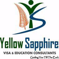 Yellow Sapphire Visa & Education Consultants Spoken English institute in Ludhiana