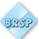 Photo of BRSP Technologies