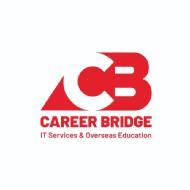 Career Bridge IT Services MSBI institute in Hyderabad