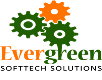 Evergreen Softtech Solution C++ Language institute in Lucknow