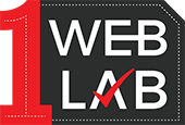 One weblab .Net institute in Delhi