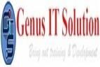 Genus IT Solution Computer Course institute in Pune