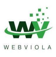 Webviola Digital Solutions Digital Marketing institute in Vijayawada