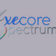 Execore Spectrum Corporate institute in Mumbai