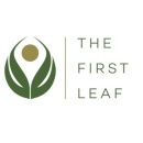 Photo of The First Leaf