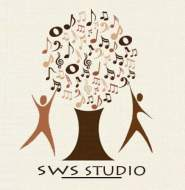Sws Studio Music Academy Drums institute in Delhi
