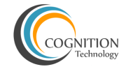 Cognition Technology .Net institute in Pune