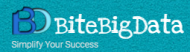 BiteBigData Big Data institute in Indore