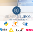 Photo of SilverNeuron Consulting