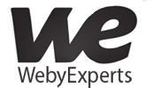 Weby Experts .Net institute in Chandigarh