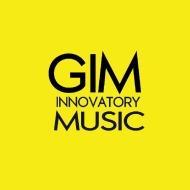 GIM Innovatory Music Guitar institute in Noida