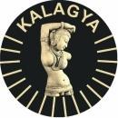 Photo of Kalagya Arts & Music Institute
