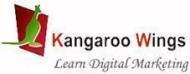 Kangaroo Wings Search Engine Optimization (SEO) institute in Delhi