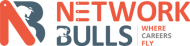 Network Bulls CCNA Certification institute in Gurgaon