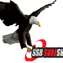 Photo of SSB Sure Shot Academy