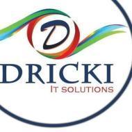 Dricki- Digital Marketing Course in Rohtak Digital Marketing institute in Rohtak