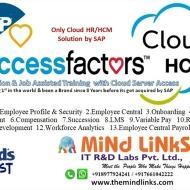 Mindlinks SAP institute in Hyderabad