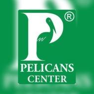 Pelicans Expert Tutorials Class I-V Tuition institute in Noida