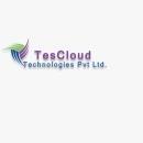 Photo of Tes Cloud Technologies Pvt Ltd