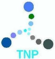 TNP Software Solutions Pvt Ltd institute in Hyderabad