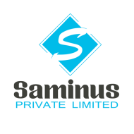 Saminus Private Limited Digital Marketing institute in Hisar