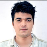 Rahul Chauhan Class 12 Tuition trainer in Hisar