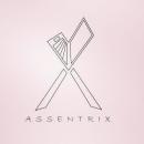 Photo of Assentrix Private Limited
