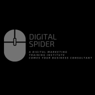 Digital Spider Digital Marketing institute in Kolkata