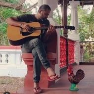 Russell Cardozo Guitar trainer in Mumbai