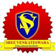 Sree Venkateswara institute CA institute in Vijayawada