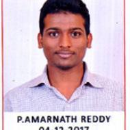 Amarnath Reddy Class 8 Tuition trainer in Hyderabad