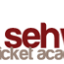 Photo of Sehwagcricketacademy