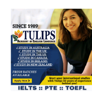 Tulips IELTS Academy IELTS institute in Dehradun