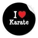 Karate and Kick boxing Self Defence institute in Mumbai