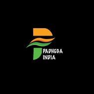 Padhega India Class 8 Tuition institute in Kanpur