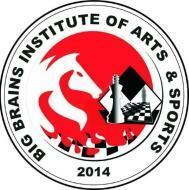 Big Brains Institute Of Arts & Sports Chess institute in Bangalore