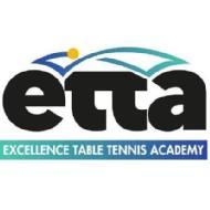 Excellence Table Tennis Academy Table Tennis institute in Gurgaon