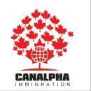 Photo of Can Alpha Immigration