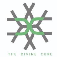 The Divine Cure Reiki institute in Ghaziabad