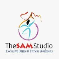 The SAM Studio Choreography institute in Delhi