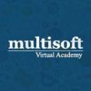 Photo of Multisoft Virtual Academy