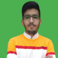 Aryan Singh Class I-V Tuition trainer in Hisar