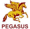 Photo of PEGASUS