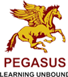 Photo of PEGASUS